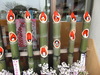 2009_03_04__0995.jpg