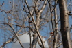 2010_02_28_2353.jpg