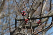 2010_02_28_2354.jpg