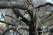 2010_02_28_2358.jpg