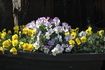 2010_02_28_2362.jpg